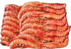 Gamba alistada 