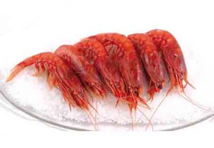 Gamba roja 