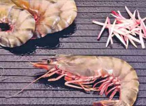 Langostino crudo 